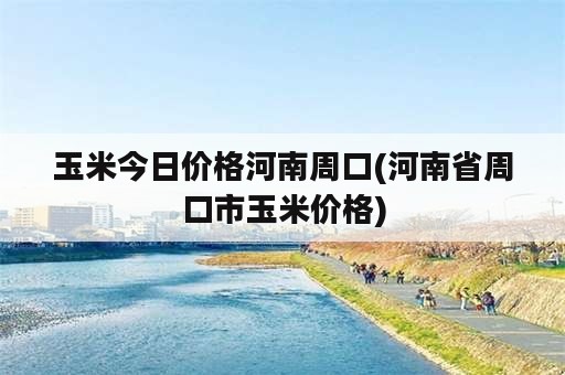 玉米今日价格河南周口(河南省周口市玉米价格)