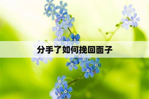 分手了如何挽回面子