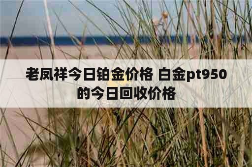 老凤祥今日铂金价格 白金pt950的今日回收价格