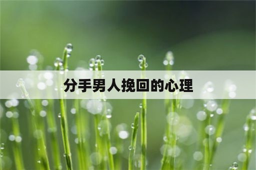 分手男人挽回的心理