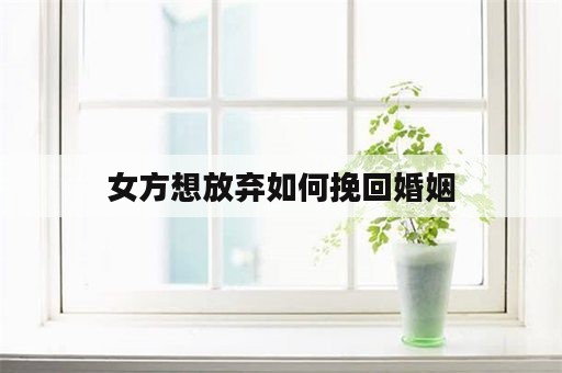 女方想放弃如何挽回婚姻