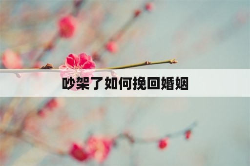 吵架了如何挽回婚姻