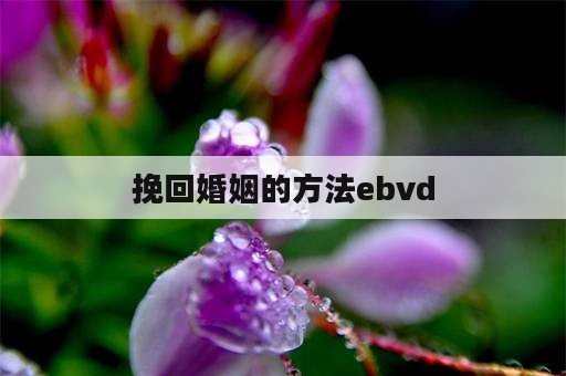 挽回婚姻的方法ebvd