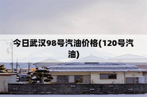 今日武汉98号汽油价格(120号汽油)