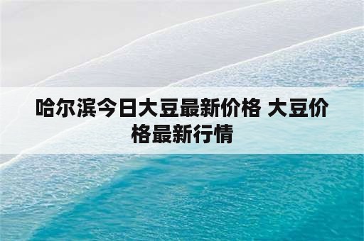 哈尔滨今日大豆最新价格 大豆价格最新行情