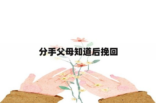 分手父母知道后挽回