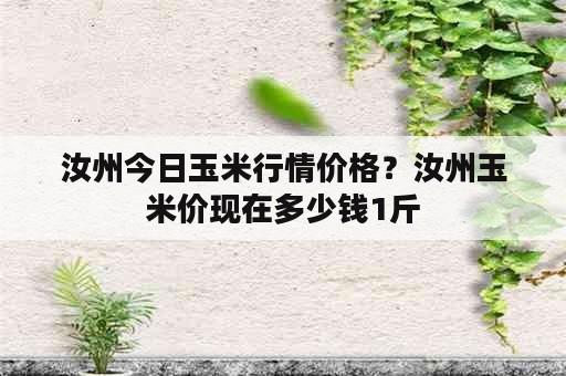 汝州今日玉米行情价格？汝州玉米价现在多少钱1斤