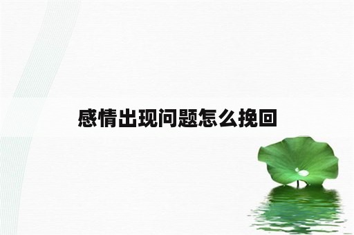 感情出现问题怎么挽回