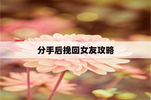 分手后挽回女友攻略