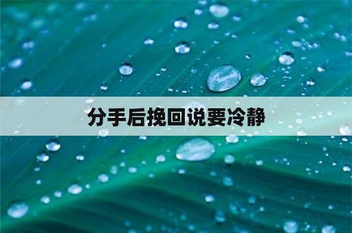 分手后挽回说要冷静