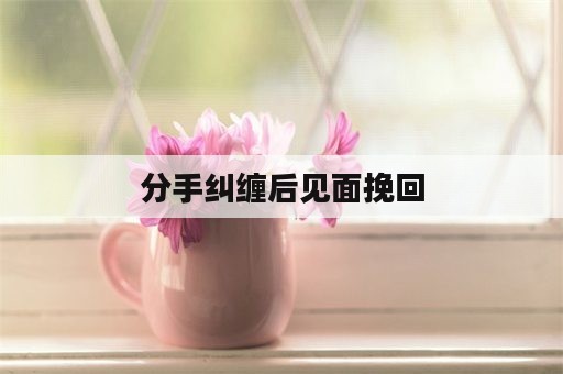 分手纠缠后见面挽回