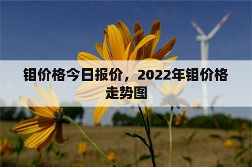 钼价格今日报价，2022年钼价格走势图