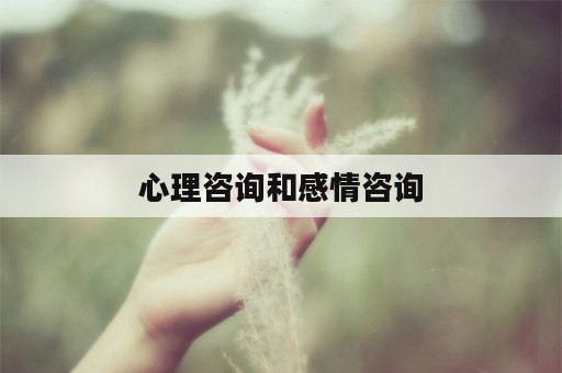 心理咨询和感情咨询