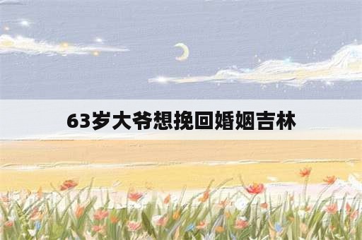 63岁大爷想挽回婚姻吉林