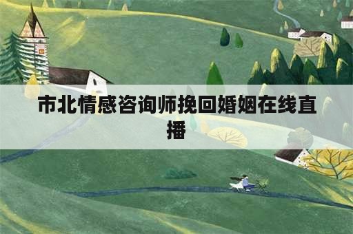 市北情感咨询师挽回婚姻在线直播