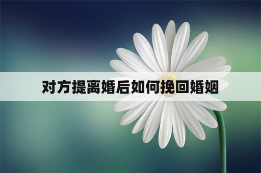 对方提离婚后如何挽回婚姻