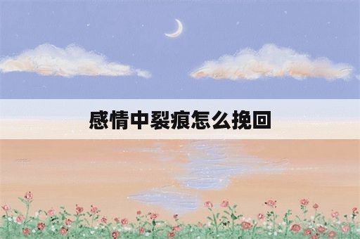 感情中裂痕怎么挽回