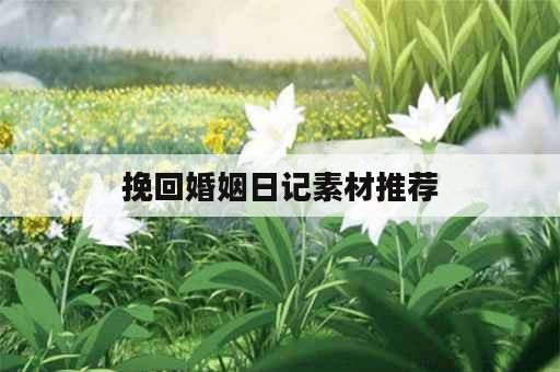 挽回婚姻日记素材推荐