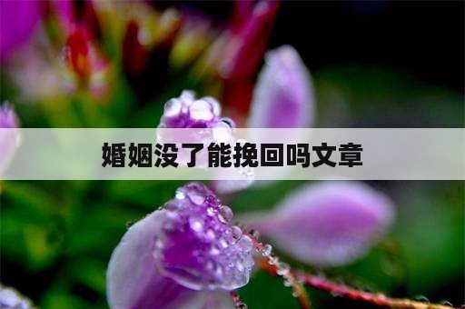 婚姻没了能挽回吗文章