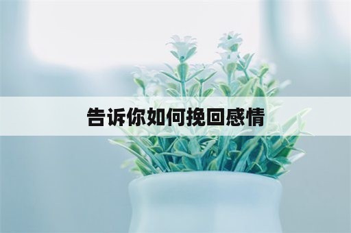 告诉你如何挽回感情