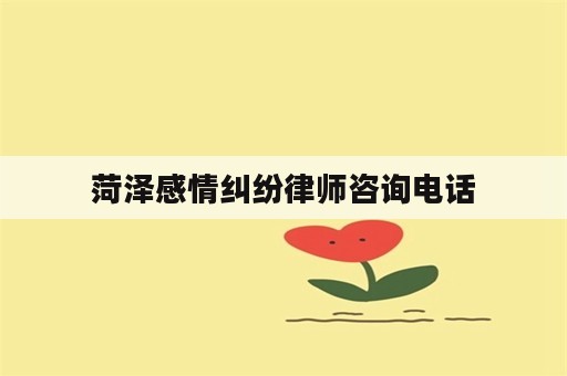 菏泽感情纠纷律师咨询电话