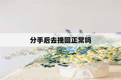 分手后去挽回正常吗