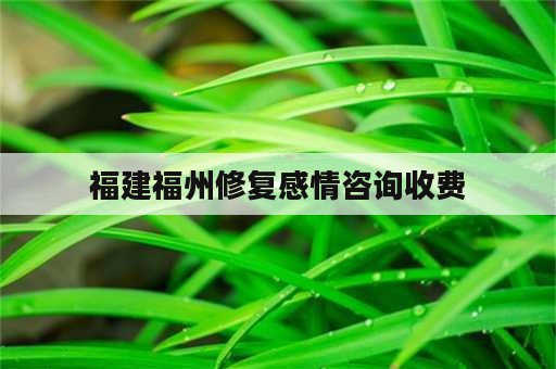 福建福州修复感情咨询收费