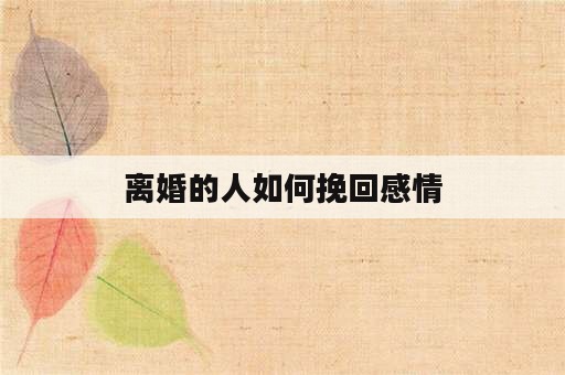 离婚的人如何挽回感情