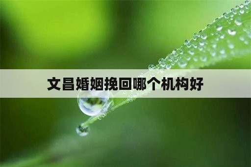 文昌婚姻挽回哪个机构好