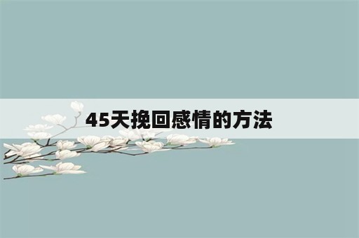 45天挽回感情的方法