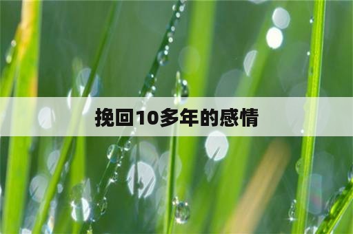 挽回10多年的感情