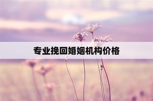 专业挽回婚姻机构价格