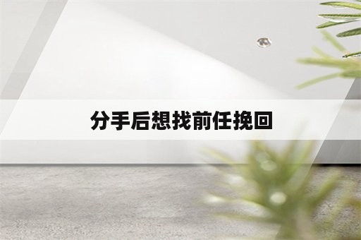 分手后想找前任挽回