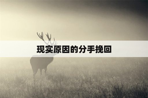 现实原因的分手挽回