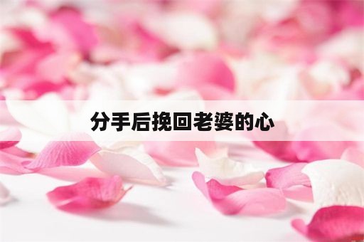 分手后挽回老婆的心