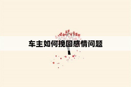 车主如何挽回感情问题