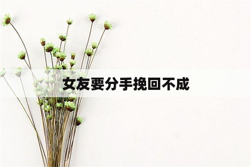 女友要分手挽回不成