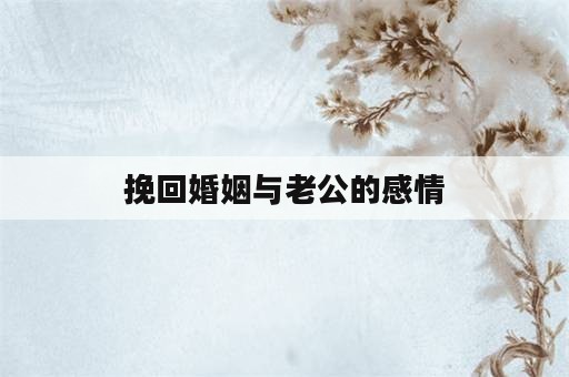 挽回婚姻与老公的感情