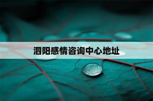 泗阳感情咨询中心地址