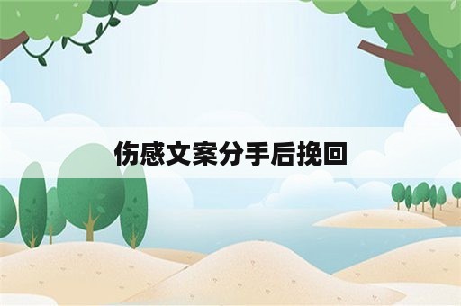 伤感文案分手后挽回