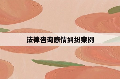 法律咨询感情纠纷案例