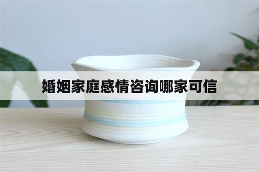 婚姻家庭感情咨询哪家可信