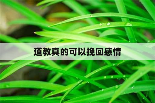 道教真的可以挽回感情