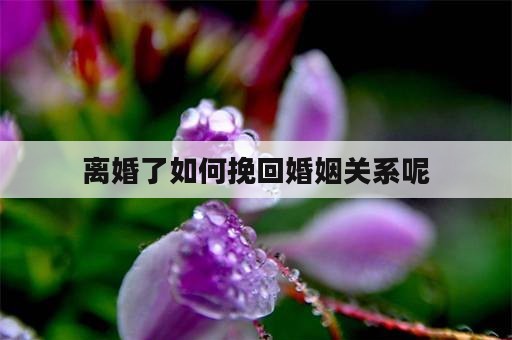 离婚了如何挽回婚姻关系呢