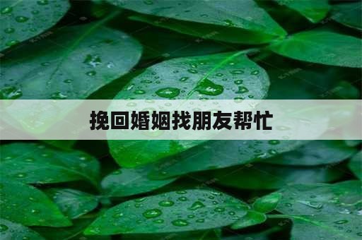 挽回婚姻找朋友帮忙