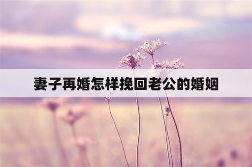 妻子再婚怎样挽回老公的婚姻