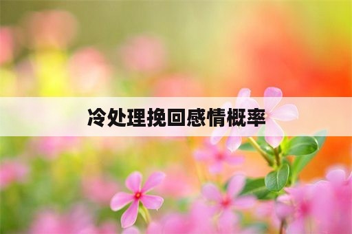 冷处理挽回感情概率