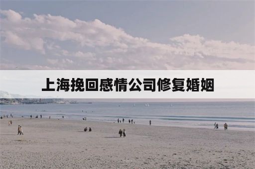 上海挽回感情公司修复婚姻