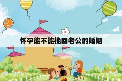 怀孕能不能挽回老公的婚姻