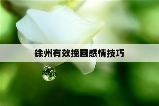 徐州有效挽回感情技巧